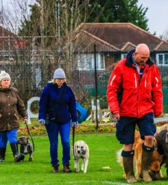 Imber Court Dog Training