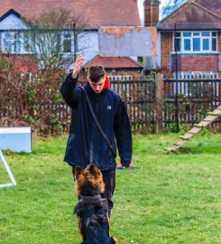 Imber Court Dog Training