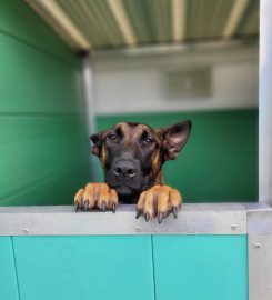 Hylton Hound Hotel Kennels