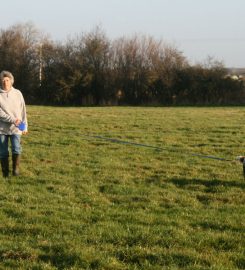 Lodge Farm Boarding Kennels