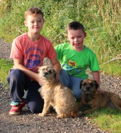 Lodge Farm Boarding Kennels