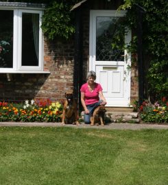 Lodge Farm Boarding Kennels