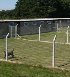 Lodge Farm Boarding Kennels