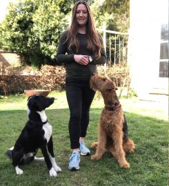 SMART Dog Training 🐕 Puppy Classes