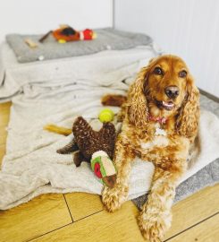 Upholland Luxury Boarding Kennels and Cattery