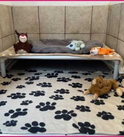 Precious Pets Premium Boarding Kennels & Cattery