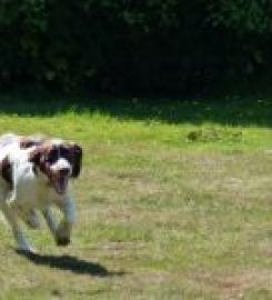 Wynhol Farm Kennels