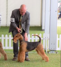 Haven Kennels and Cattery