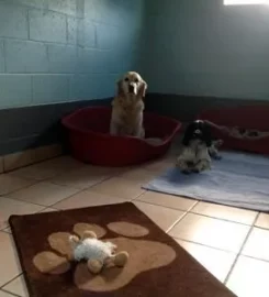 White Lodge Boarding Kennels