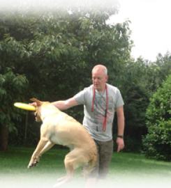 White Lodge Boarding Kennels