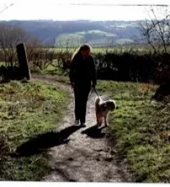 Mosborough Kennels and Cattery