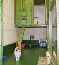 Clarks Hill Kennels and Cattery