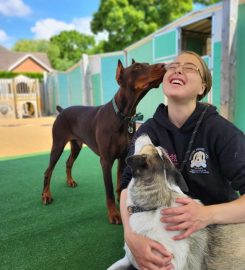 Hylton Hound Hotel Kennels