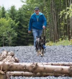 Liberty K9 Training