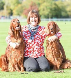 Four Seasons Kennels and Cattery