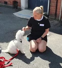 Milne and Mutt Dog Training