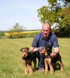 Haven Kennels and Cattery