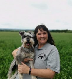 Happy Healthy Hounds – Dog Walkers & Pet Services