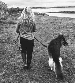 Solway dog walkers and Pet Service