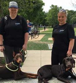 Off-Leash K9 Training London