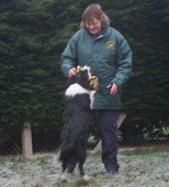 Plumtree Boarding Kennels & Cattery