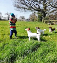 Barton Boarding Kennels