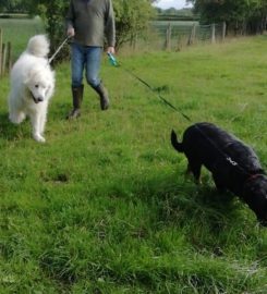 Barton Boarding Kennels