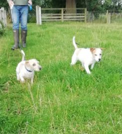 Barton Boarding Kennels