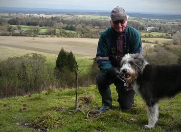 Wagging Tails Glasgow Dog Boarding