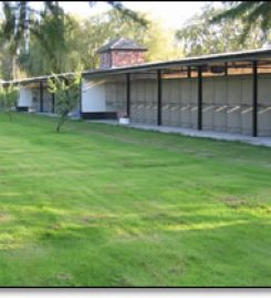 Blossoms Kennels and Cattery