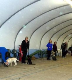 Chadkirk Kennels and Cattery