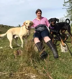 Bluebell Dog Walking