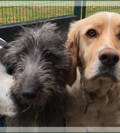 Balmoral Kennels and Cattery