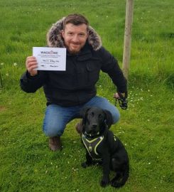 Wagilowe Dog Training