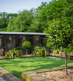 Tarbay Centre Kennels