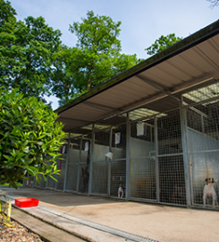 Tarbay Centre Kennels