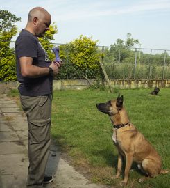 Sweet Turf Boarding Kennels