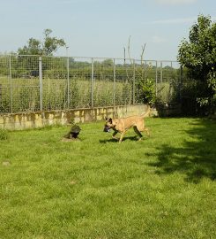 Sweet Turf Boarding Kennels