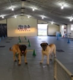 Norbreck Canine Centre