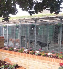 Imberpark Kennels and Cattery