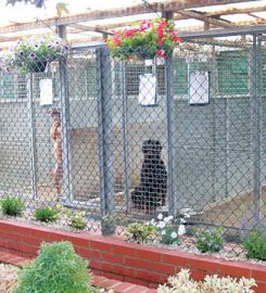 Imberpark Kennels and Cattery