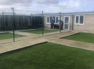 Lord Sefton Dog Boarding Kennels and Pet taxi service