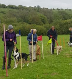 Wagilowe Dog Training