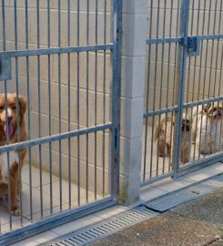 Muirburn Kennels