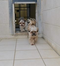 Muirburn Kennels