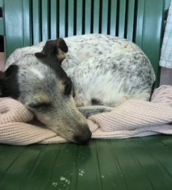 Canada Farm Kennels