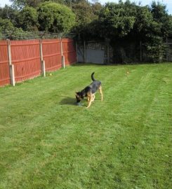 Canada Farm Kennels