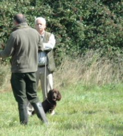 Geoff Shore Gundogs