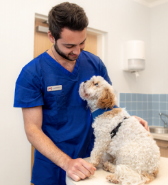 Medivet Bracknell Harmans Water – Kynoch Vets