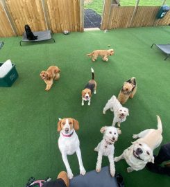 Hylton Hound Hotel Kennels